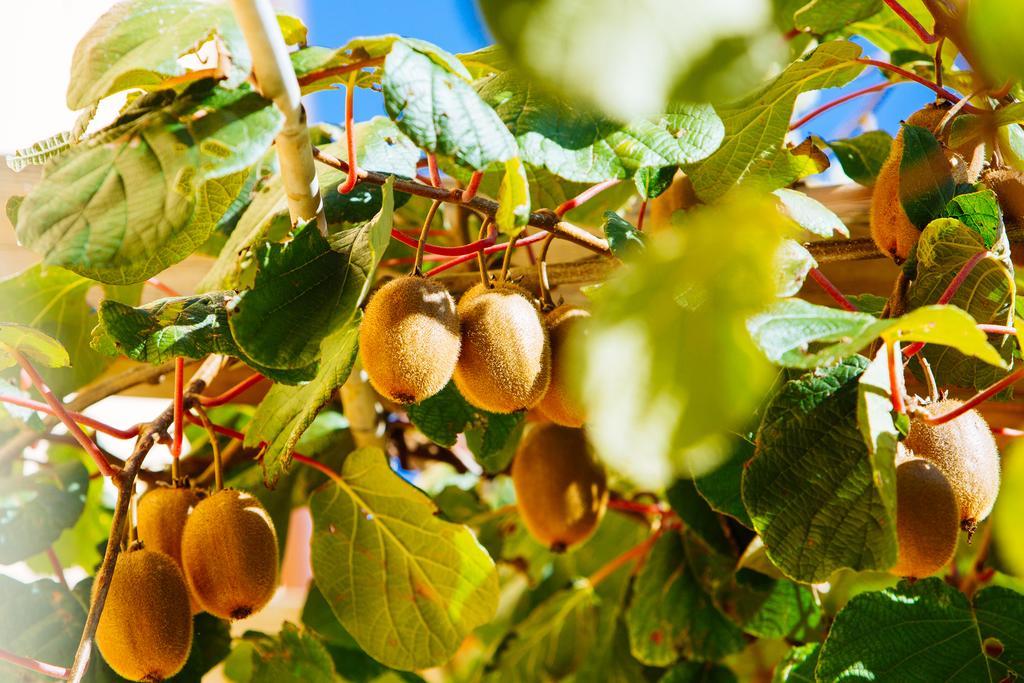 Agriturismo La Coccinella Valfabbrica المظهر الخارجي الصورة