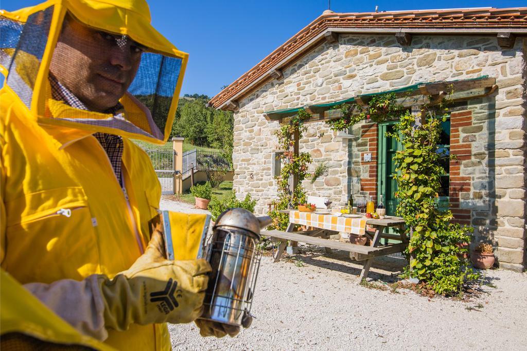 Agriturismo La Coccinella Valfabbrica المظهر الخارجي الصورة