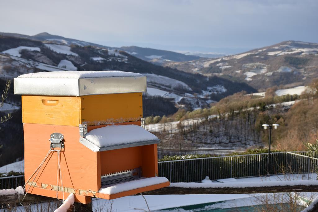 Agriturismo La Coccinella Valfabbrica المظهر الخارجي الصورة