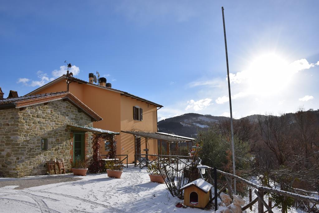 Agriturismo La Coccinella Valfabbrica المظهر الخارجي الصورة